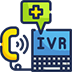Interactive Voice Response (IVR) Systems