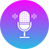 Voice Assistants