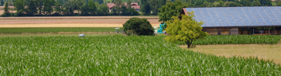 Agriculture