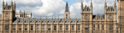 Government & Public Sector